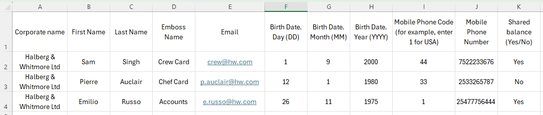 Screenshot 2025-07-30 101731