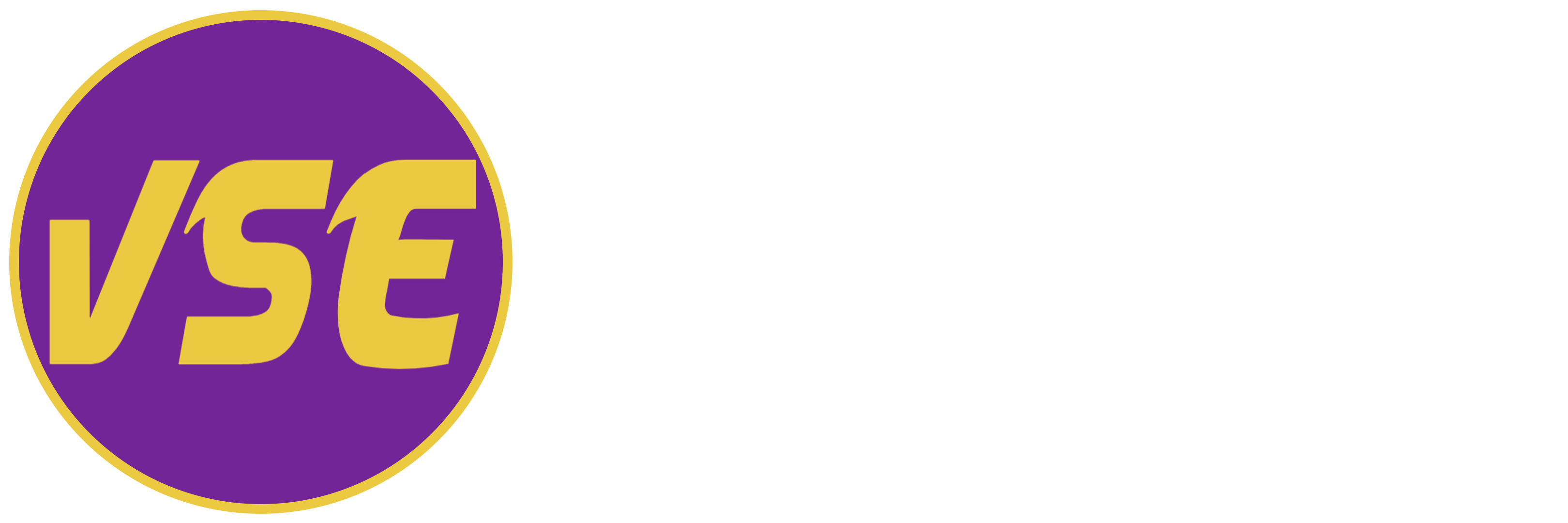 Header image for VSE hosted hub